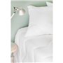 TOISON D'OR - Couette Bamboo tempérée (300g/m²) - 220x240cm - Chaleur tempérée - Viscose de bambou - 2 personnes - Blanc
