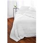 TOISON D'OR - Couette Silkydor tempérée (280g/m²)- 240x260cm -  Chaleur tempérée - Coton et soie de mûrier - 2 personnes