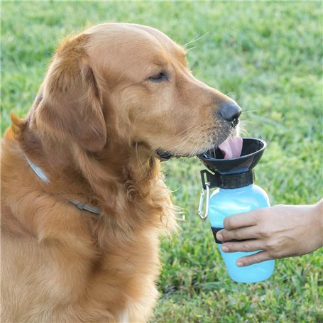 Bouteille Abreuvoir pour Chiens InnovaGoods