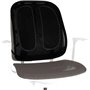Dossier pour siège Fellowes 9191301 Ergonomique Réglable Noir Plastique