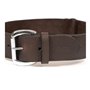 Collier pour Chien Gloria Marron 60 cm (60 x 4 cm)