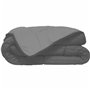 Remplissage de couette Poyet  Motte Calgary Argenté Gris 400 g 220 x 240 cm 400 g /m²