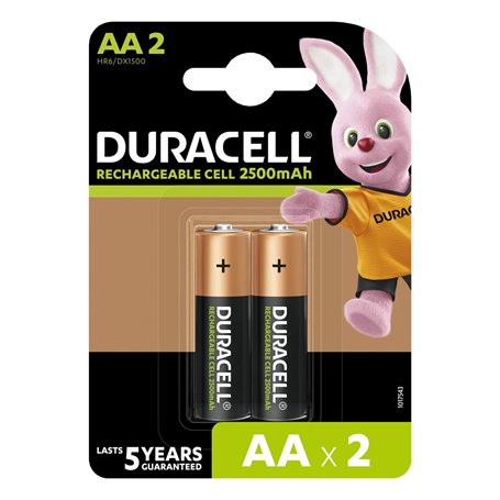 Duracell 5000394056978 pile domestique Batterie rechargeable AA