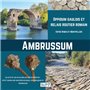 Ambrussum
