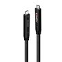 Lindy 43333 câble USB 10 m USB 3.2 Gen 1 (3.1 Gen 1) USB C Noir