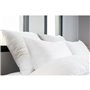 Lot de 4 oreillers - Finition bourdon apparent - 60x60 cm - BLANREVE