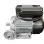 Moteur électrique 3CV/230V avec poulie - DOMAC