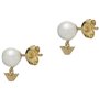 Boucles d´oreilles Femme Emporio Armani EG3583710