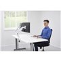 Fellowes Platinum Series Bras porte-écrans double - Blanc