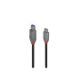 Lindy 36667 câble USB 2 m USB 3.2 Gen 1 (3.1 Gen 1) USB C USB B Noir
