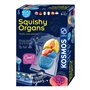 Kosmos Fun Science Organes
