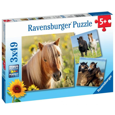 Ravensburger 8011 puzzle 49 pièce(s)