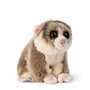 WWF - Loris le paressauex pygmee - 18cm