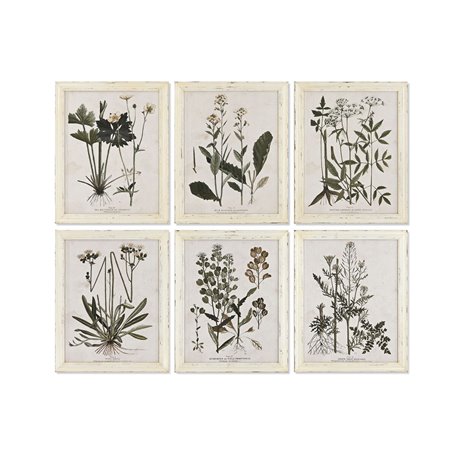 Cadre Home ESPRIT Shabby Chic Plantes botaniques 40 x 1
