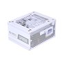 Lian Li SP850WHITE unité d'alimentation d'énergie 850 W 20-pin ATX SFX Noir