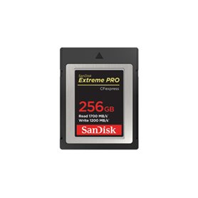 SanDisk SDCFE-256G-GN4NN mémoire flash 256 Go CFexpress