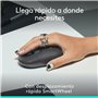 Souris Logitech 910-007412 Gris