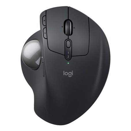 Souris Logitech 910-007260 Graphite