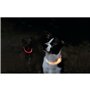 Collier à LED pour Animaux Trixie Orange L/XL