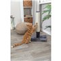 Grattoir pour Chats Trixie Bartes Gris