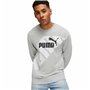 Sweat sans capuche homme Puma POWER Graphic C Gris