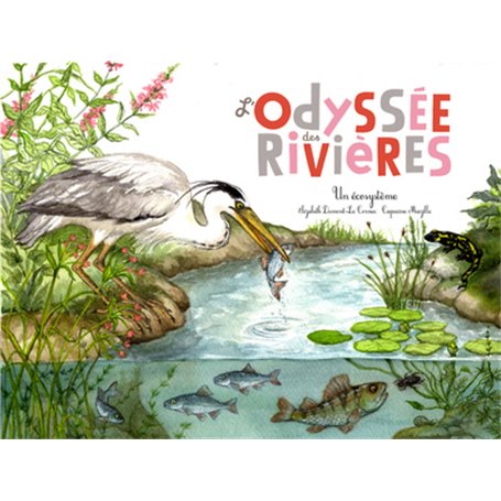 L'Odyssée des rivières