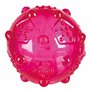 Jouet pour chien Trixie Caoutchouc TPR Ø 8 cm