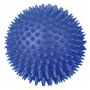 Jouet pour chien Trixie Ø 10 cm