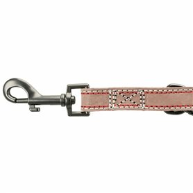 Laisse pour Chien Trixie Marron M/L 2 m