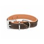 Collier pour Chien Trixie Marron Marron Clair XS/S