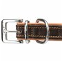 Collier pour Chien Trixie Marron Marron Clair XS/S