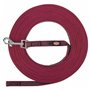 Laisse pour Chien Trixie Rouge 10 m S/M