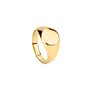 Bague Homme Radiant RH000131-22 22