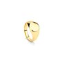 Bague Homme Radiant RH000131-26 26