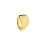 Bague Homme Radiant RH000027-26 Doré 26