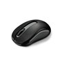 Souris sans-fil Rapoo 00180244 Noir 1000 dpi