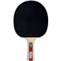Raquette de tennis de table - SCHILDKRÖT - LEGENDS 900 FSC