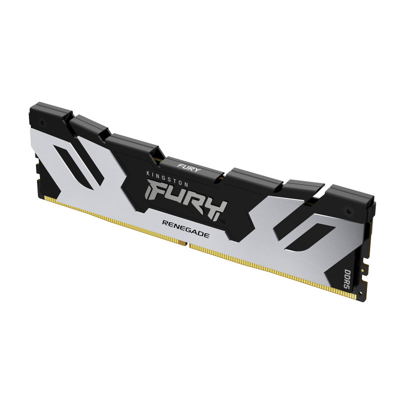 Kingston Technology FURY 32 Go 6400 MT/s DDR5 CL32 DIMM Renegade Silver XMP