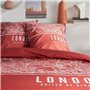 Parure de lit - TODAY - JAVA - 2 personnes - 240x220 cm - Coton - Imprimé London - Rouge