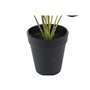 Plante décorative DKD Home Decor Rose Vert PE (10 x 10 x 27 cm)