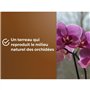 Terreau orchidées - OR BRUN - OBRTORC6U - 6L - Favorise la croissance
