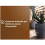 Substrat cactus & Plantes grasses - OR BRUN - OBRTCAC6U - 6L - Favorise la croissance
