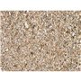 Substrat Trixie 5 L Vermiculite