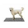 Tapis pour chien Trixie Gris 100 × 70 CM Absorbant