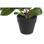 Plante décorative DKD Home Decor Vert PP PE Ficus (2 Unités) (21 x 18 x 30 cm)