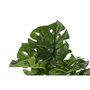 Plante décorative DKD Home Decor Monstera Vert PP PE (48 x 42 x 51 cm)