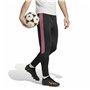 Jogging d'Entraînement de Football pour Adultes Adidas Tiro23 Cb Tr Homme