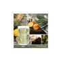 Bougie Parfumée Yankee Candle Sage & Citrus 567 g