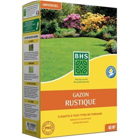 Gazon - BHS - Gazon Rustique 1 KG - Plus résistant et mieux protégé - Rapide et Durable - Tous Types de Terrain et Climats, Robu