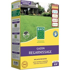 Gazon - BHS -  Gazon Regarnissage 1kg